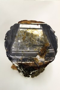 Evie (990), 2011, Inkjet Print and PVA on Wood, 26x48x27cm