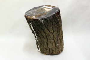 Evie (990), 2011, Inkjet Print and PVA on Wood, 26x48x27cm