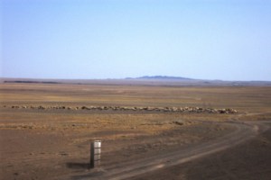 Gobi Desert Cabinet, 2012, Digital Collage